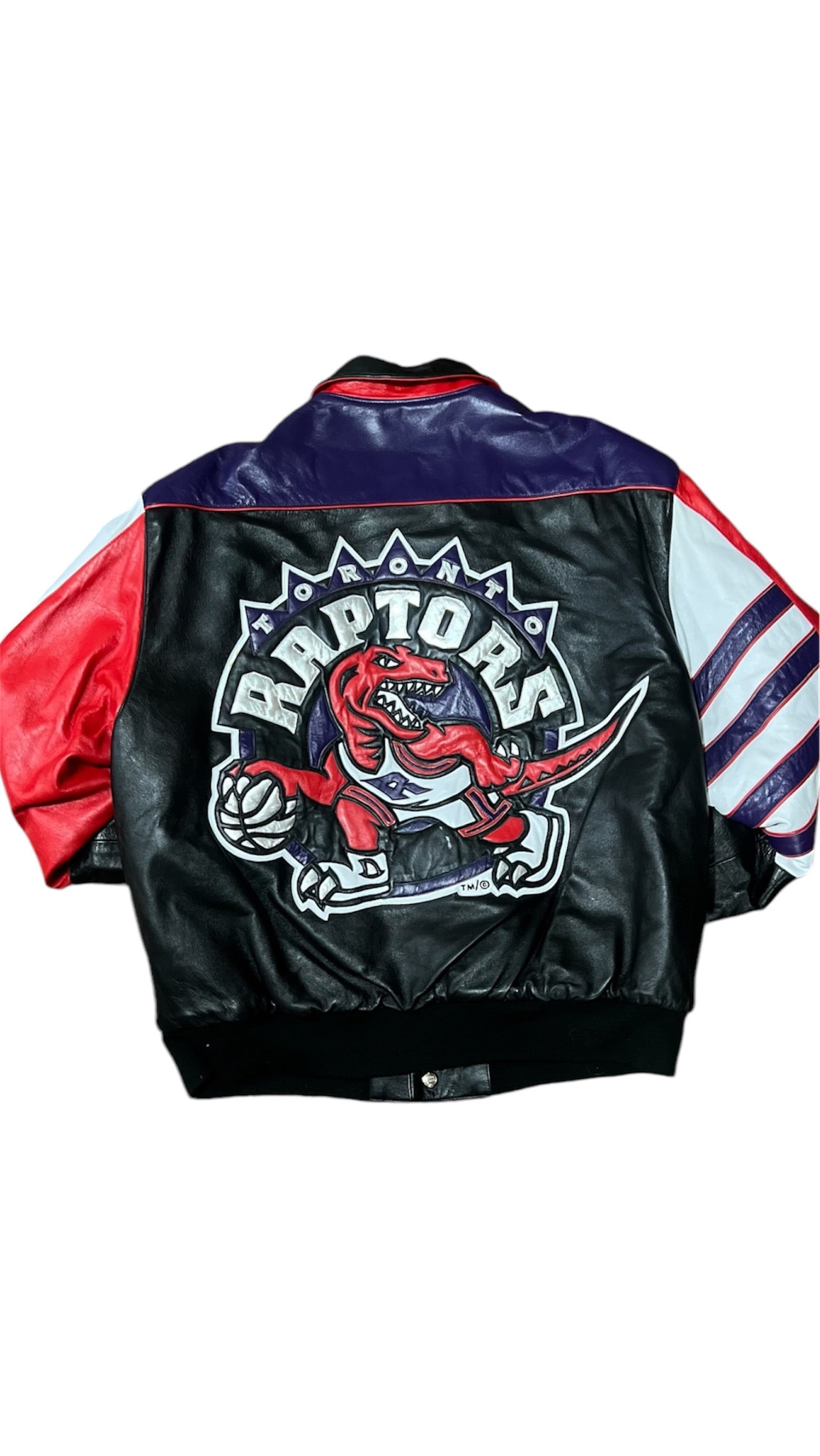 Toronto Raptors Reversible - Jeff Hamilton Leather Satin