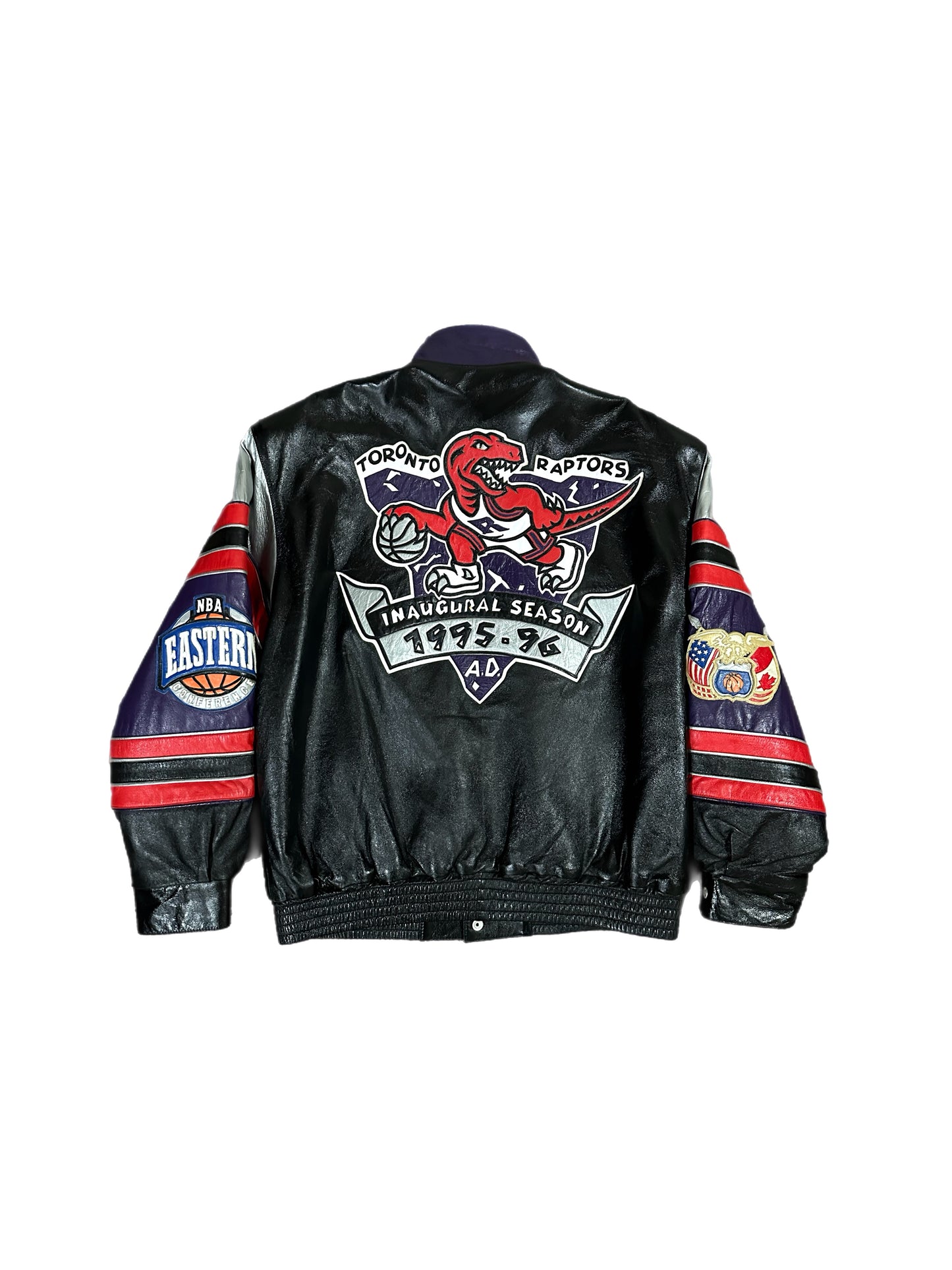 Toronto Raptors Inaugural Season 1995-96 - Limited Edition Jeff Hamilton